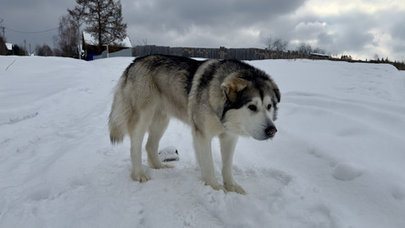 Similar image 22290670