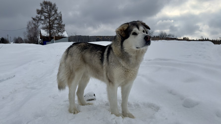 Similar image 22290671