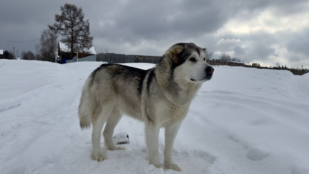 Similar image 22290672