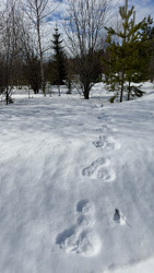 Similar image 22290675