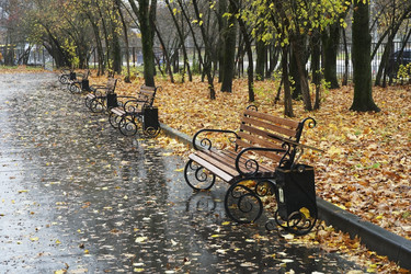 Similar image 22290343