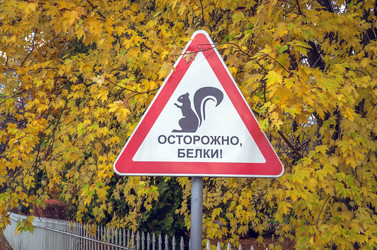 Similar image 22290480