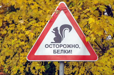 Similar image 22290481