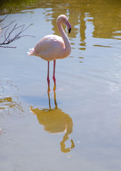 Similar image 22301579