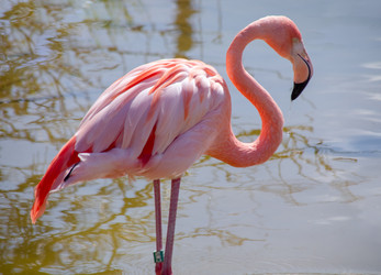 Similar image 22301580