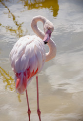 Similar image 22290212