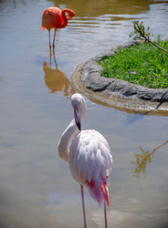 Similar image 22290213