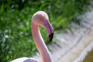 Similar image 22290214