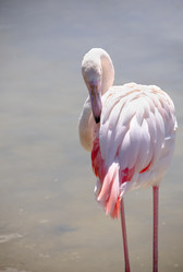 Similar image 22290215