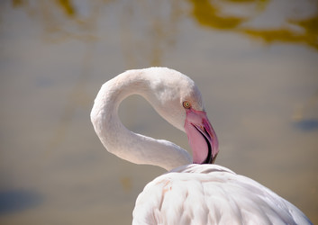 Similar image 22290216