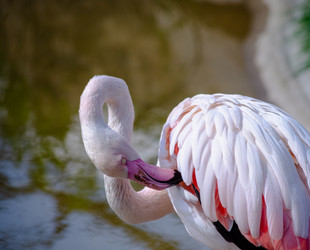 Similar image 22290217