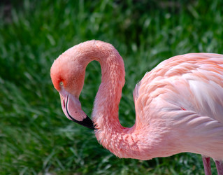 Similar image 22290218