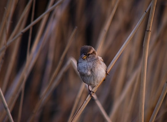 Similar image 22290219