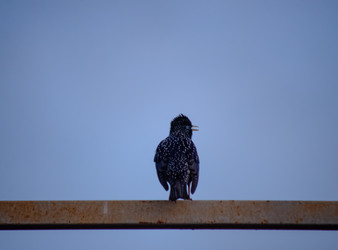 Similar image 22301582