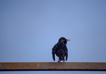 Similar image 22301583