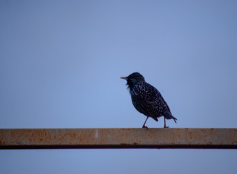 Similar image 22301584