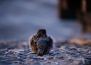 Similar image 22301585