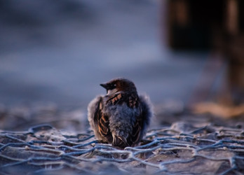 Similar image 22301586