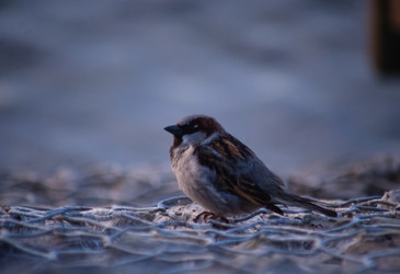 Similar image 22301587