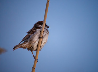 Similar image 22290221