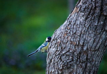 Similar image 22301588