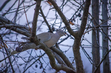 Similar image 22301589