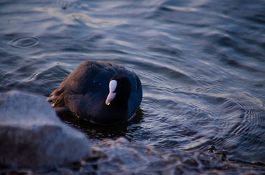 Similar image 22290222