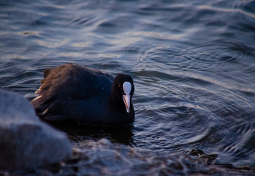 Similar image 22290223