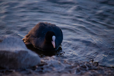 Similar image 22290224