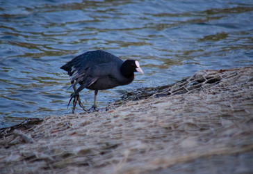 Similar image 22290225