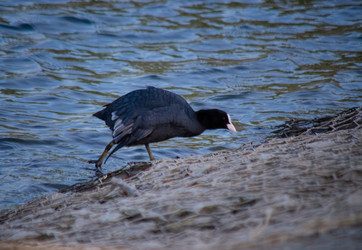 Similar image 22290227