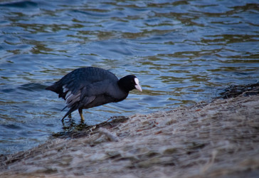 Similar image 22290228