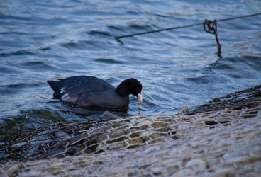 Similar image 22290229