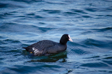 Similar image 22290231