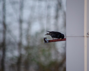 Similar image 22301590