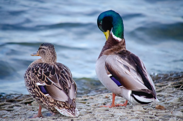 Similar image 22301592