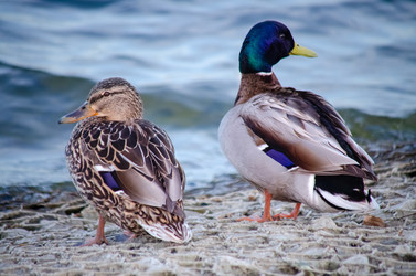 Similar image 22301593