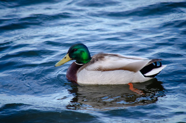 Similar image 22301596