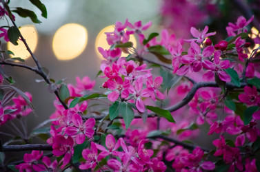 Similar image 22301597