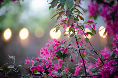 Similar image 22301598