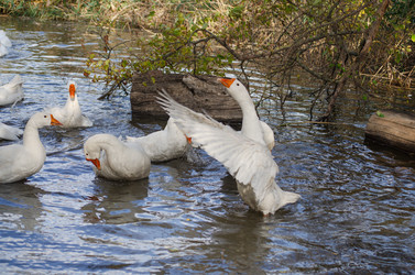 Similar image 22290232