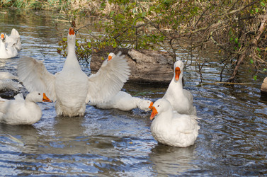 Similar image 22290233