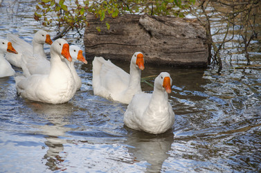 Similar image 22290235