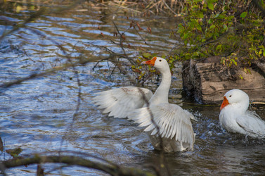 Similar image 22290237