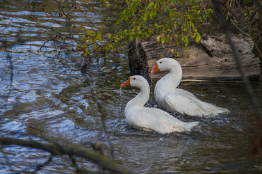 Similar image 22290238