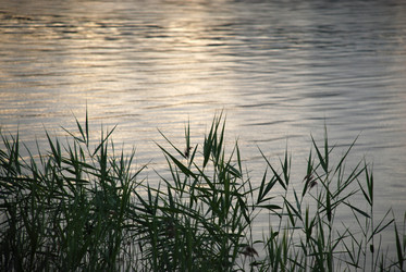 Similar image 22291660