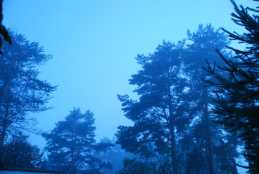 Similar image 22291687