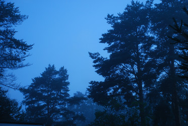 Similar image 22291688