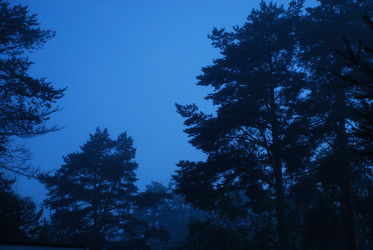 Similar image 22291689