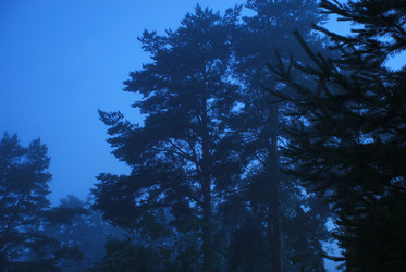 Similar image 22291690